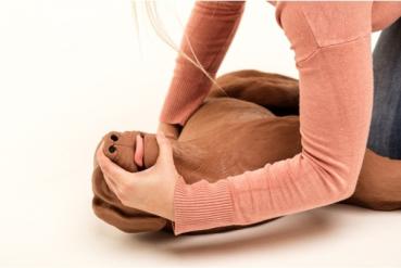 Erler Zimmer - HLW Übungshund CasPeR
